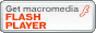 FLASH Player